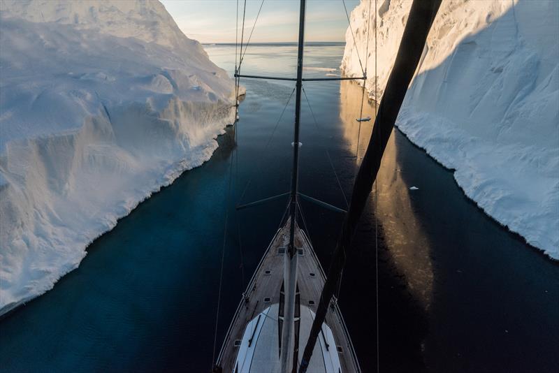 Pangaea in Antarctic waters - photo © Dmitry Sharomov