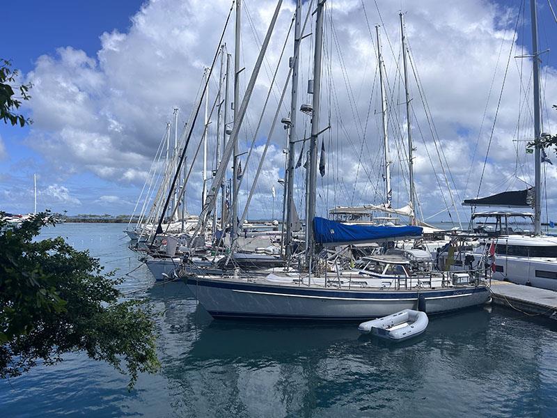 World ARC 2023-24 in Salvador! photo copyright World Cruising Club taken at  and featuring the Cruising Yacht class
