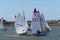 The dinghy racing was hotly contested with strong showings in a number of classes - Goolwa Regatta Week © Chris Caffin