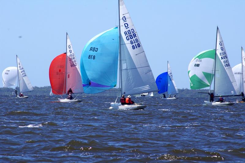 The fleet sails with spinnakers flying to the finish line photo copyright Jeanette Severs taken at Metung Yacht Club and featuring the Dragon class
