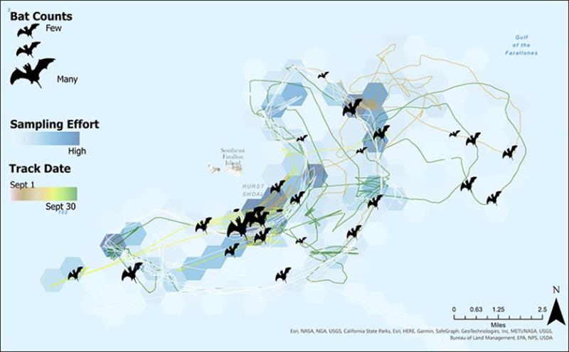 A graphic showing the saildrone's mission track around the Farallon Islands and the rough location and density of the bats it recorded photo copyright Bat Conservation International taken at  and featuring the Environment class