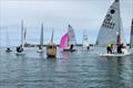Race 1 of the final day - Viking Marine DMYC Frostbites series 2 concludes © Ian Cutliffe