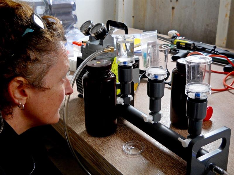 Kim Parsons working in the lab - photo © NOAA Fisheries
