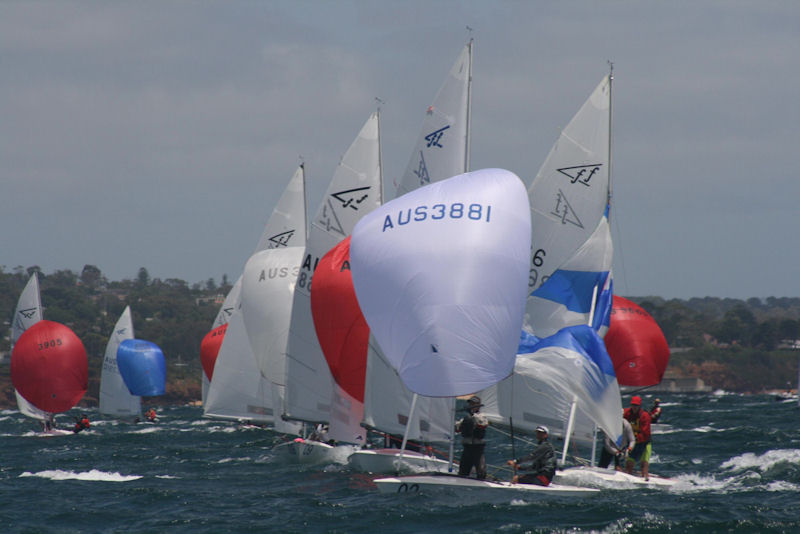 Australian Flying Fifteen Championships day 3 photo copyright DBYC taken at Davey's Bay Yacht Club and featuring the Flying Fifteen class