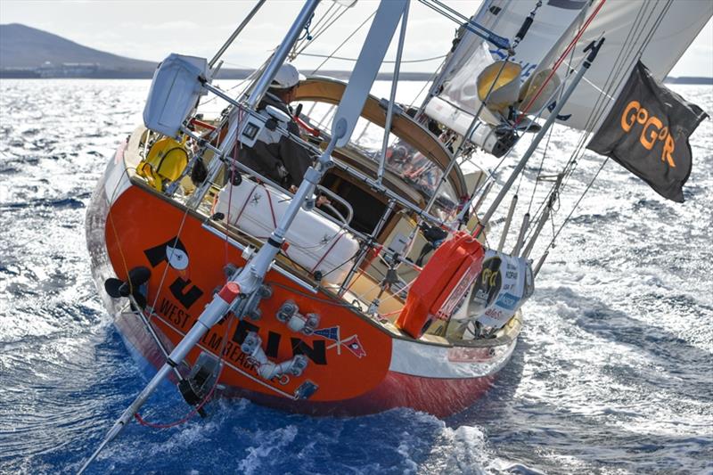 Istvan Kopar's Tradewind 35 Puffin, now heading for the Cape Verde Islands to replace the self steering system photo copyright Christophe Favreau / PPL / GGR taken at  and featuring the Golden Globe Race class