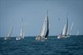 40 boats took part in the Hospice by the Sea Regatta © Poz Pictures