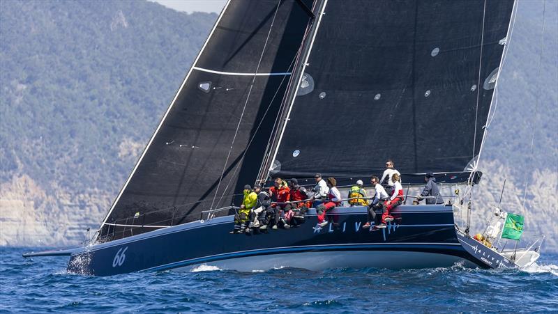 2018 Rolex Sydney Hobart Yacht Race overall winner Alive is among a strong contingent of Tasmanian entries this year photo copyright ROLEX / Studio Borlenghi taken at Cruising Yacht Club of Australia and featuring the IRC class