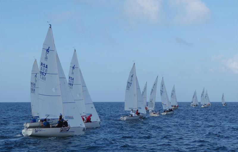 J/22 World Championship 2022 photo copyright j22.co.za taken at Point Yacht Club, South Africa and featuring the J/22 class