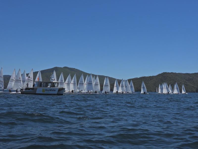 NZ ILCA National Championships - Day 3, Queen Charlotte Yacht Club, Picton photo copyright Christel Hopkins taken at Queen Charlotte Yacht Club and featuring the ILCA 7 class