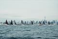 Melges 24 fleet racing in front of the Toronto skyline at the Canadian National Championship 2022 © Alina Heinrich