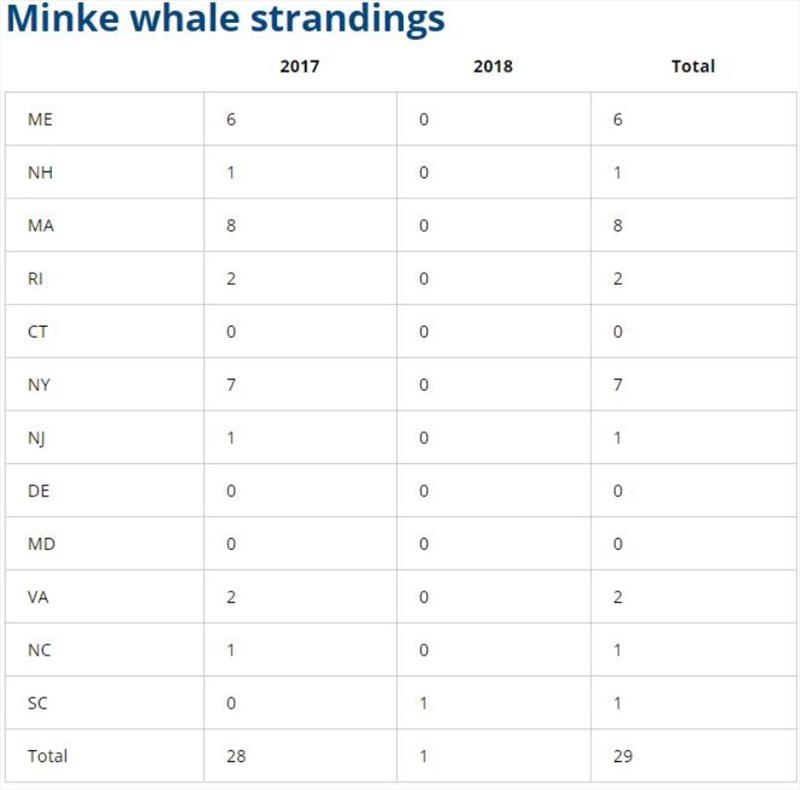 Minke whale strandings photo copyright NOAA Fisheries taken at 