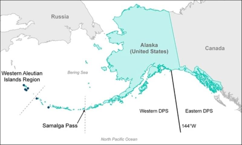 Map showing range of Western DPS and Eastern DPS for Steller sea lions - photo © NOAA Fisheries