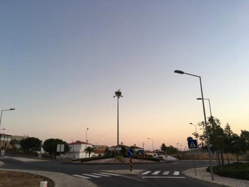 Stork's nest on the round-about light at Portimao photo copyright SV Red Roo taken at 
