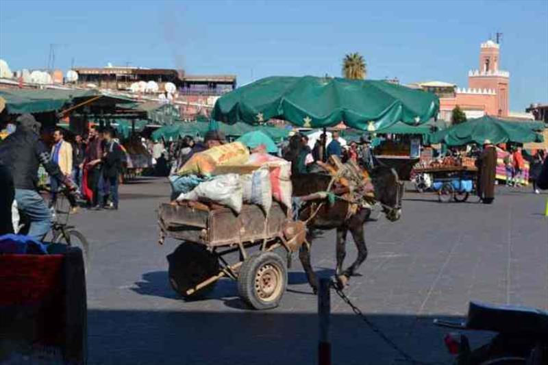 Jemaa el-Fnaa is the square and market place in Marrakesh's Medina quarter photo copyright SV Red Roo taken at 