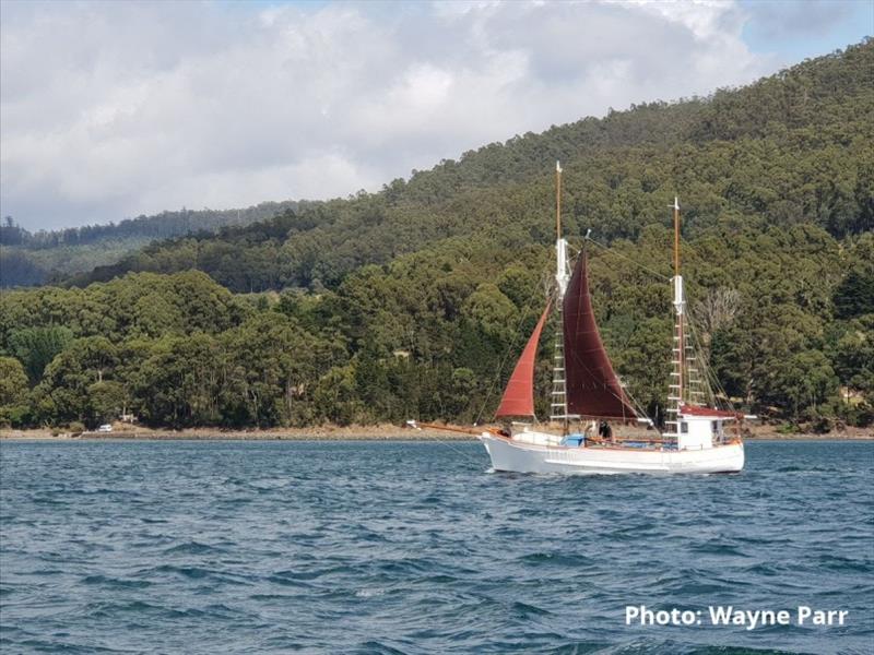 Neil Smith's Wildwave coming down the channel a couple of days after the festival, recently returned from a single handed round Australia trip. I think I'm right in saying well into his 70s photo copyright Wayne Parr taken at 