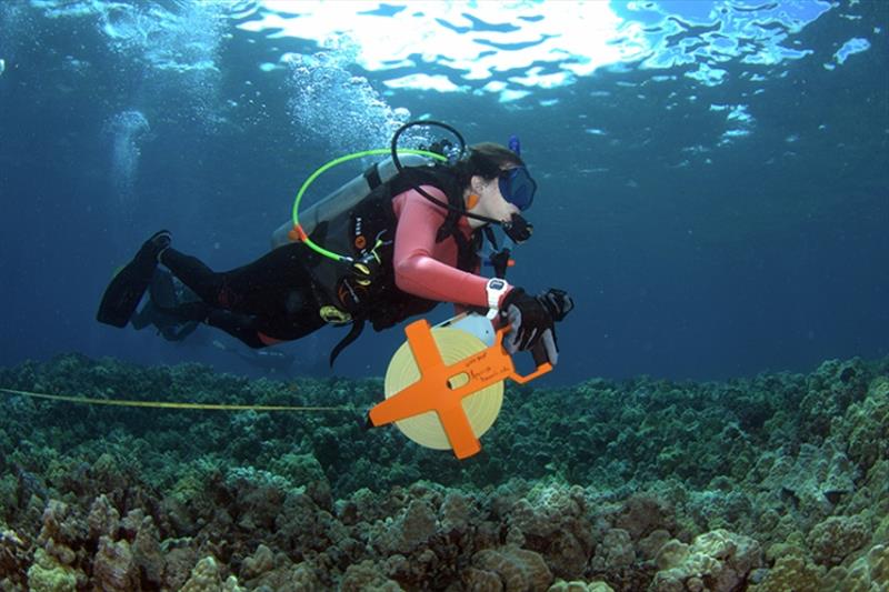 During the QUEST field course, MOP students learn valuable scientific diving skills, including how to conduct transect line surveys underwater and carry out fish and coral counts. - photo © MOP