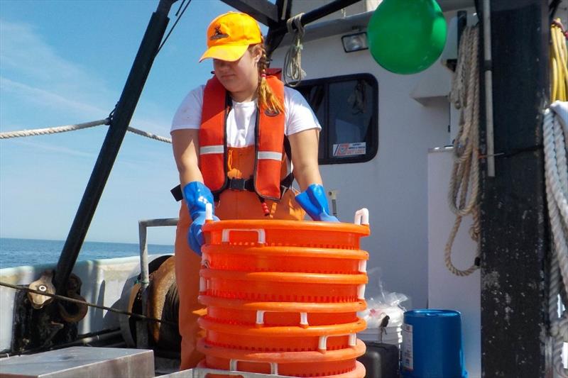 Fishery observer Allison Hall. - photo © NOAA Fisheries