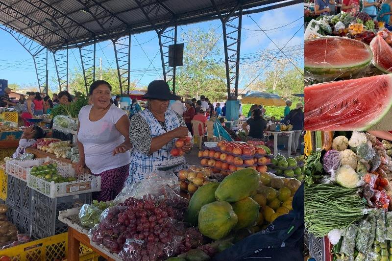 Saturday Farmers Market in Santa Cruz Galapagos photo copyright SV Taipan taken at 