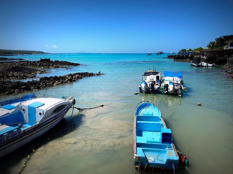 Fishing boats bring their catch to the Fish Market daily - photo © SV Taipan