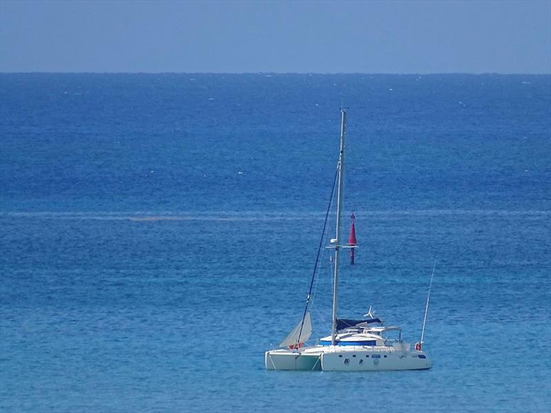 Contigo at anchor in Cabo Cruz photo copyright Mission Ocean taken at 