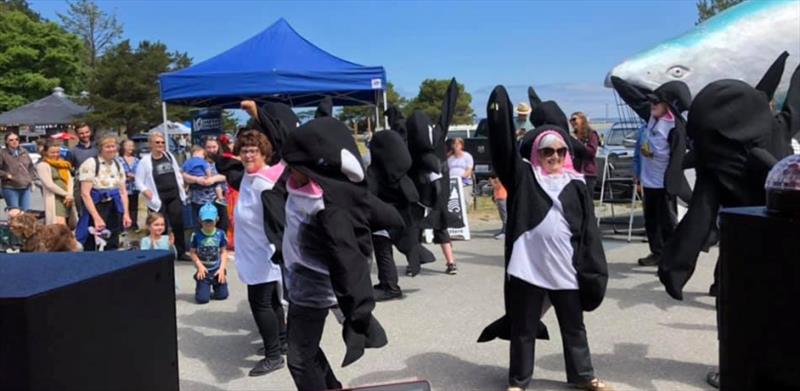 Dancing orcas and a giant salmon inspire the crowd at the Port Townsend Orca and Salmon Festival on June 15th in Port Townsend, Washington photo copyright NOAA Fisheries taken at 
