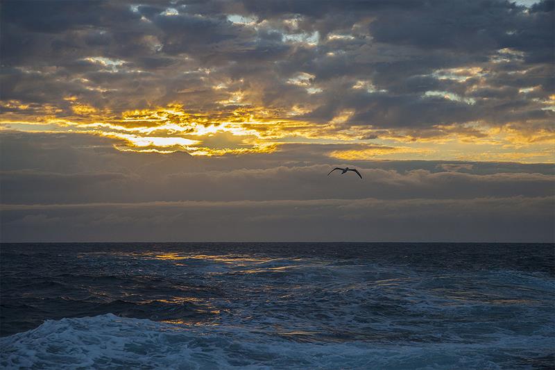 Lone star photo copyright John Curnow taken at 