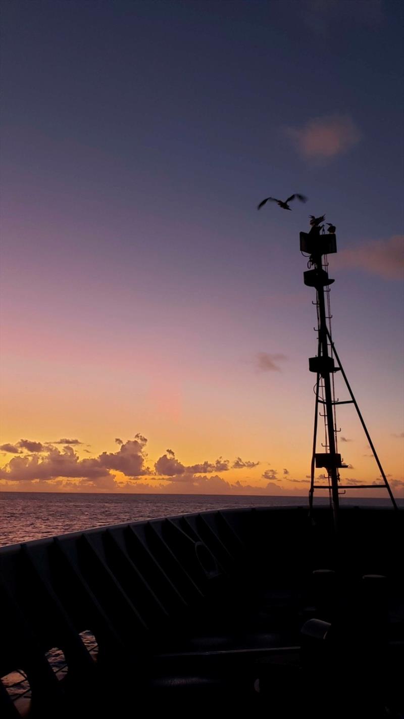 Sunrise at French Frigate Shoals in the Northwestern Hawaiian Islands photo copyright NOAA Fisheries / Jan Willem Staman taken at 