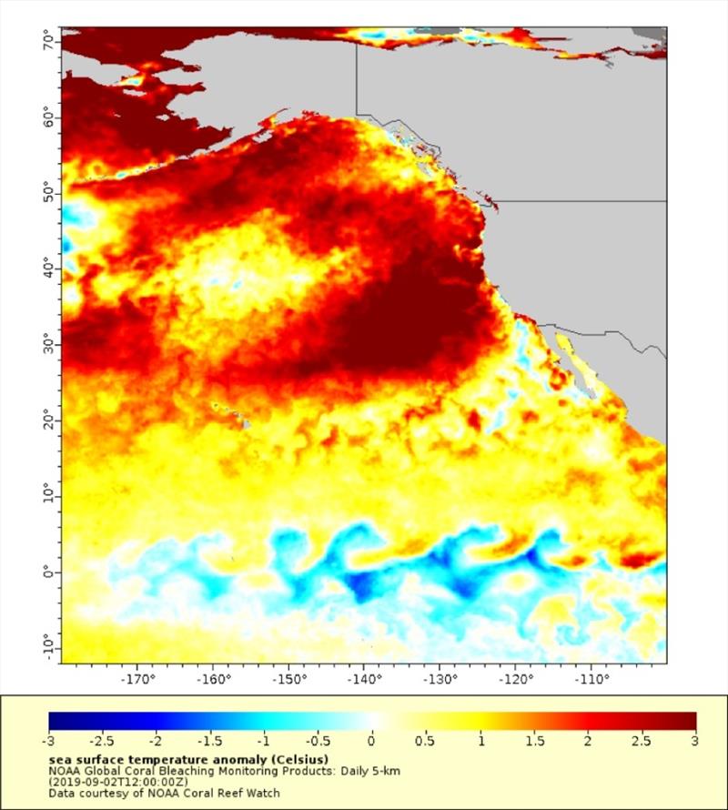 The new marine heatwave off the West Coast stands out in this map of sea surface temperature anomalies, with darker red denoting temperatures farther above average. The highest temperatures shown are more than 5 degrees Fahrenheit above average photo copyright NOAA Coral Reef Watch taken at 