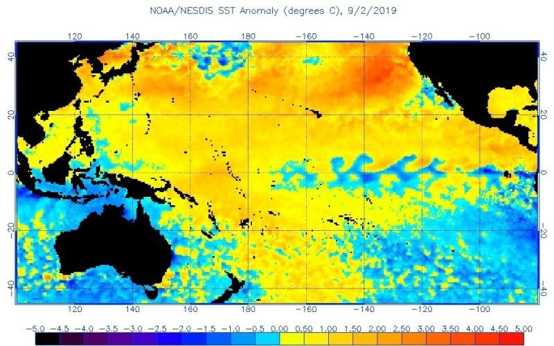 The marine heatwave that has formed off the West Coast of North America is currently close to the warmest area in the Pacific Ocean. Map shows sea surface temperature anomalies, with darker orange representing temperatures farther above average. - photo © NOAA National Environmental Satellite, Data, and Information Service
