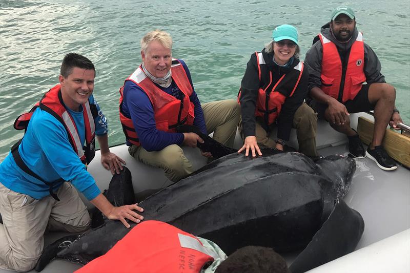 Researchers (left to right): Chris Sasso, Mike Judge, Heather Haas and Samir Patel with a leatherback aboard the open catamaran. - photo © NOAA Fisheries