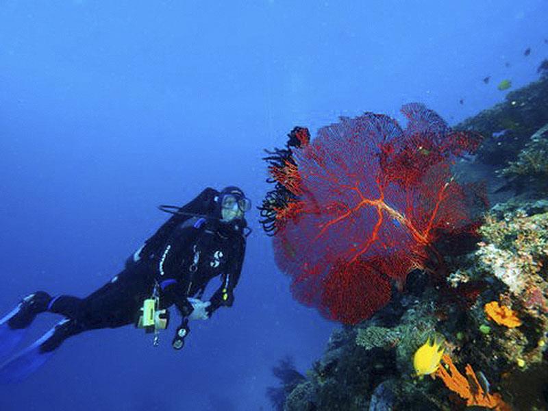 Fiji‘s extensive coral reefs provide tourist income photo copyright Mark Ullman taken at 