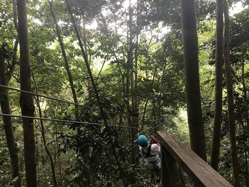 World ARC 20/21 participants enjoy a day zip-lining through the Saint Lucian rainforest photo copyright World Cruising taken at 