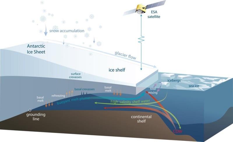 Diagram of an Antarctic ice shelf showing the processes causing the volume changes measured by satellites. Ice is lost when icebergs break off the ice front, and by melting in some regions as warm water flows into the ocean cavity under the ice shelf. - photo © CSIRO
