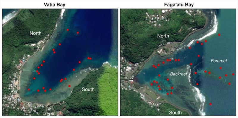 Maps displaying sites visited at the two sampling areas: Vatia Bay and Faga‘alu Bay, Tutuila, American Samoa - photo © NOAA Fisheries