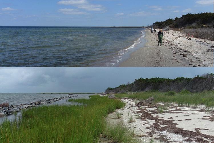Before (top) and after (bottom) images of the Durant's Point living shoreline project in Hatteras Village, North Carolina. - photo © North Carolina Coastal Federation