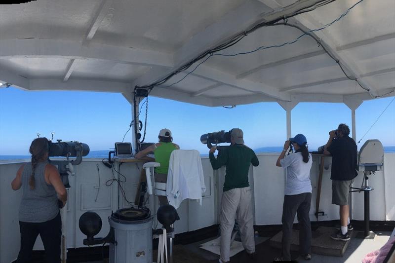 The visual team aboard the Gordon Gunter cetacean survey searches for animals. Two sets of Big Eyes, massive 25x150 binoculars, allow them to search up to 7 miles away for marine mammals, sea turtles and seabirds photo copyright NOAA Fisheries taken at 