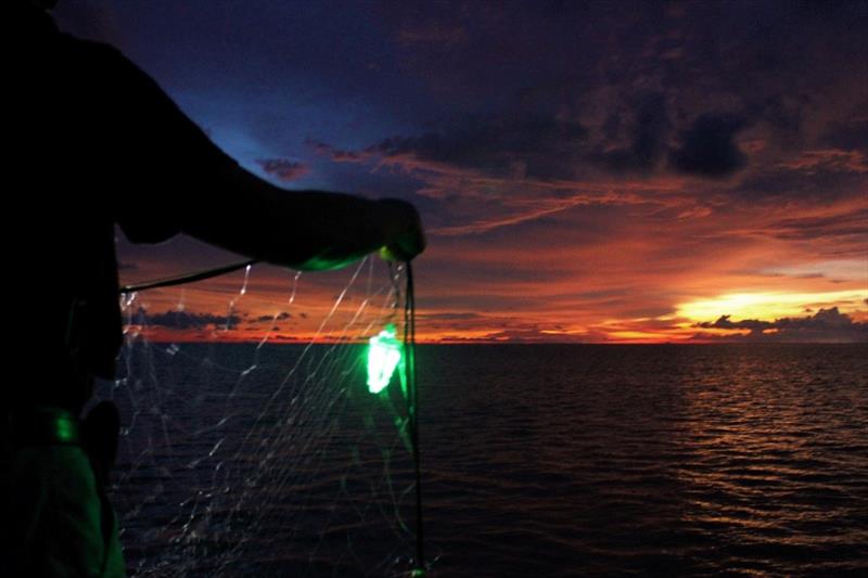 The sun sets as fishermen set out nets with green LED lights attached. - photo © NOAA Pacific Islands Fisheries Science Center