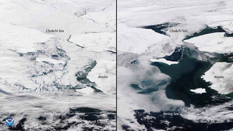 Satellite images showing an adverse change in sea ice coverage in the Bering Sea on April 1, 2014 (left) and March 31, 2019 (right). - photo © NOAA