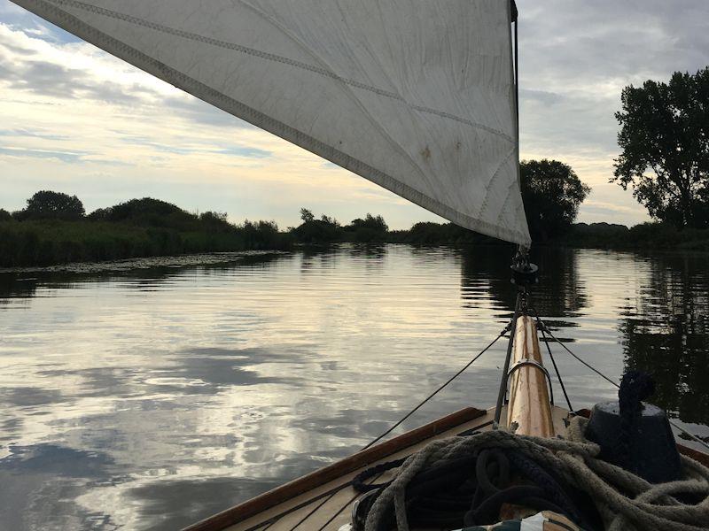 Late evening approach to an unknown staithe - Sailing (mis)adventures on the Norfolk Broads photo copyright Liz Potter taken at  and featuring the Gaffers class