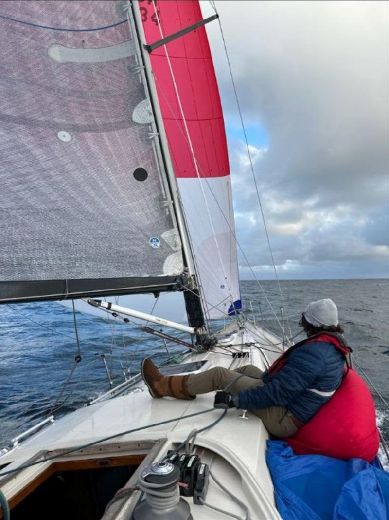 Tom Rall (27) aboard Ohana, a Swede 55 that claimed the President of USA trophy for best corrected all PHRF and the Cliff Chapman Trophy for topping PHRF Race B at the 76th Newport to Ensenada Yacht Race photo copyright Paul Hogue taken at  and featuring the PHRF class