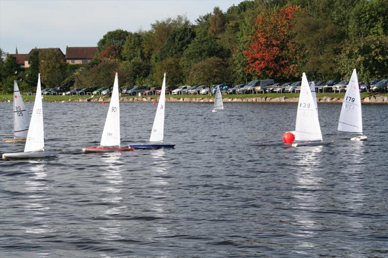 RC Laser National Championships at Castle Semple photo copyright Tim Long taken at  and featuring the RC Laser class