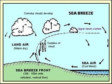 Sea Breezes And Why