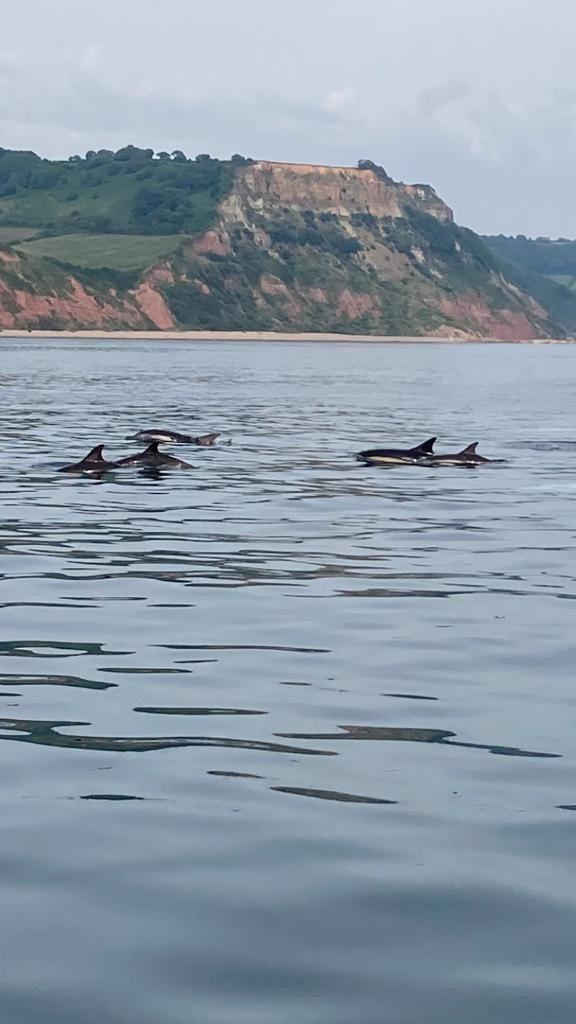 A pod of dolphins watch the Scorpion Open at Sidmouth Sailing Club photo copyright Richard Gatehouse taken at Sidmouth Sailing Club and featuring the Scorpion class