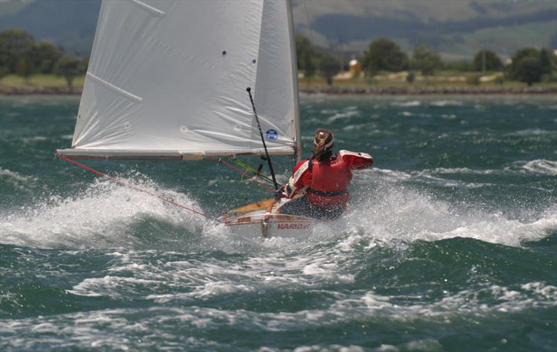 Kelly Barnes sailing in the 2005 Nationals at Tauranga - Des Townson, A sailing legacy  photo copyright Kel Martin taken at  and featuring the Starling class