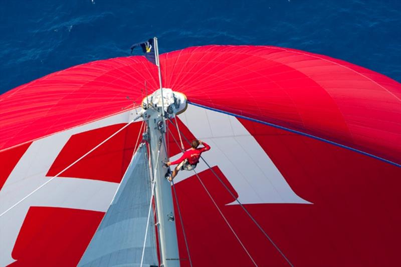 182ft (56m) schooner Adela - 2019 Superyacht Challenge Antigua photo copyright Claire Matches / www.clairematches.com taken at  and featuring the Superyacht class