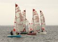 Racing during the Tasar Scottish Championships at Pentland Firth © Colin Gregory